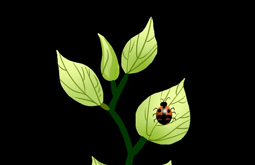 1669171406561495.png image.png