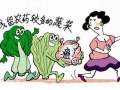 食品安全檢測(cè)儀保證冷凍肉類(lèi)安全 食品安全檢測(cè)儀保證冷凍肉類(lèi)安全