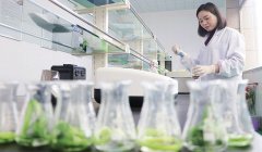 蔬菜檢測儀器怎么用 蔬菜檢測儀器怎么用