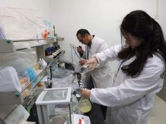 肉類食品檢測儀保障肉類品質(zhì)安全 肉類食品檢測儀保障肉類品質(zhì)安全