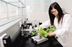農(nóng)殘快速檢測儀的使用過程 農(nóng)殘快速檢測儀的使用過程